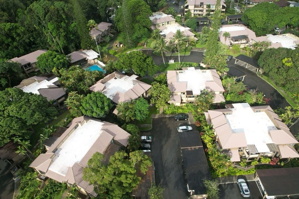 Project Commercial Flat Roofing in a Lush Community image