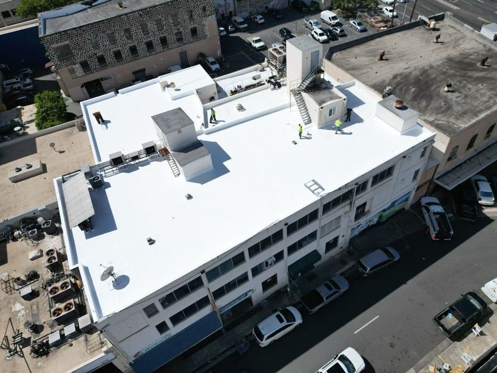 Project Downtown Commercial White-Roof Maintenance image